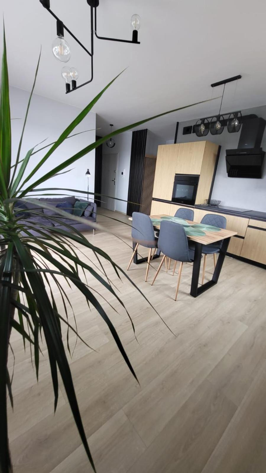 Apartament Solo 布鲁斯茨丹斯基 外观 照片